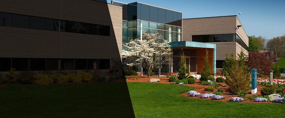 Ukiah Landscapers