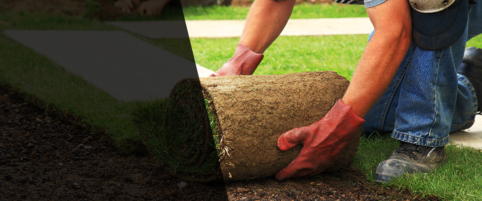 Ukiah Landscapers
